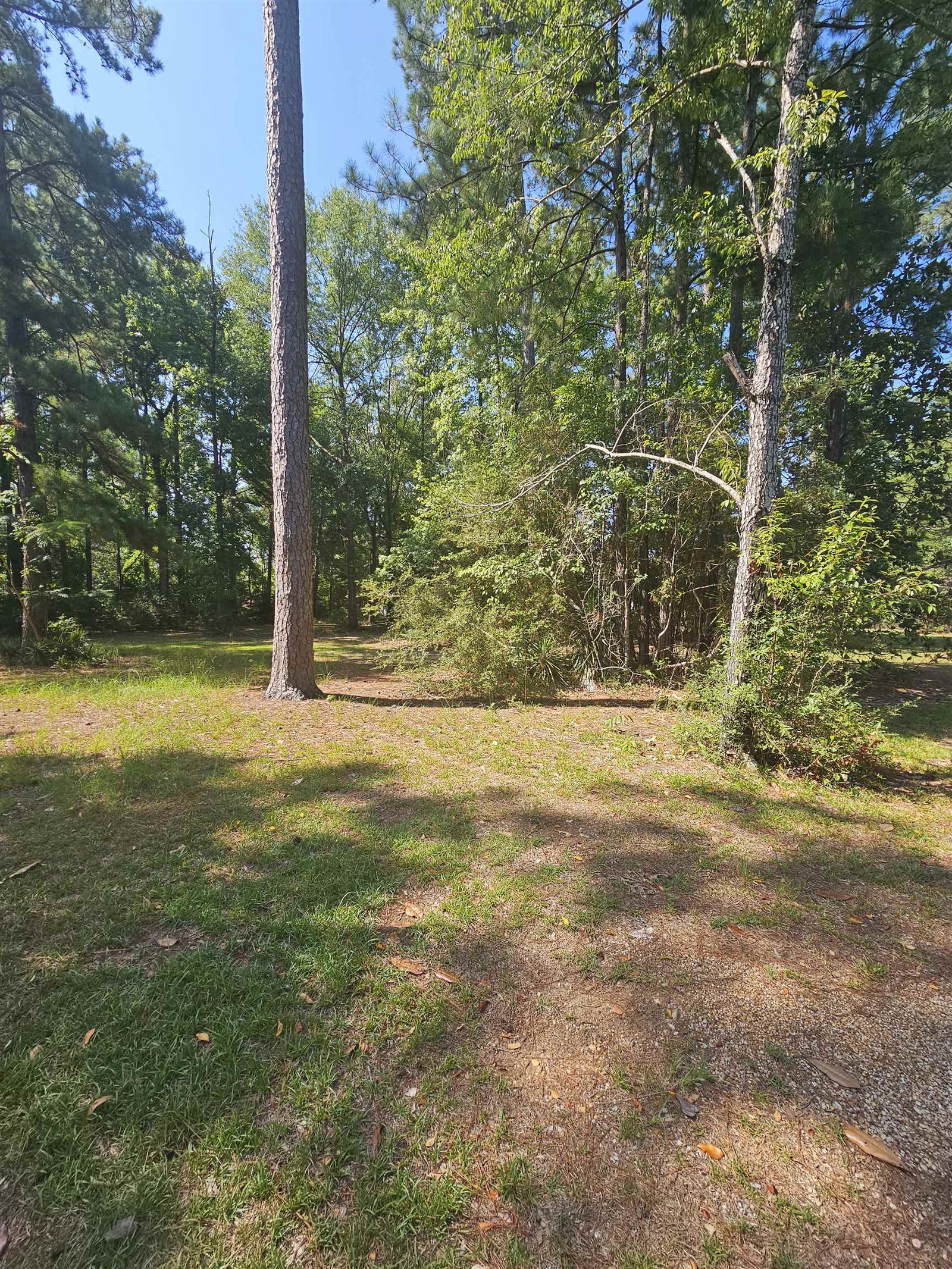 Toledo Bend Express Realty in Hemphill, TX