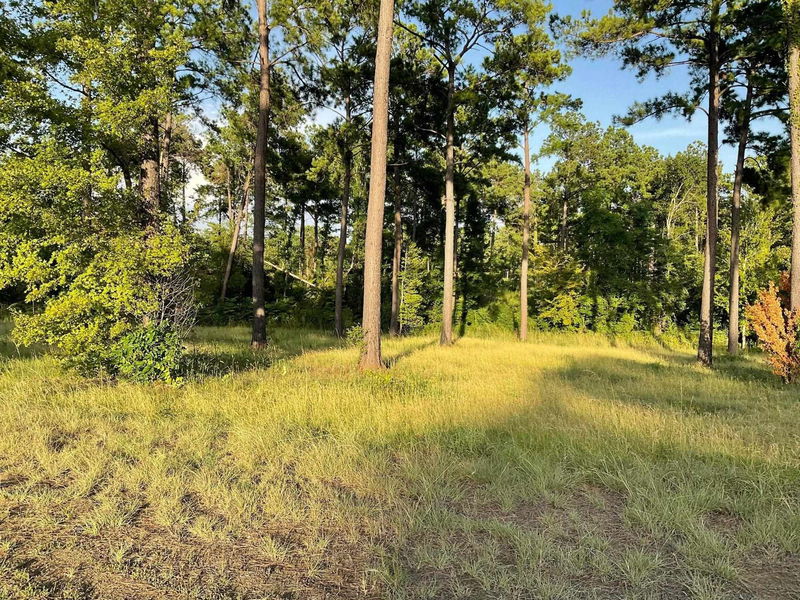 Toledo Bend Express Realty in Hemphill, TX (5)