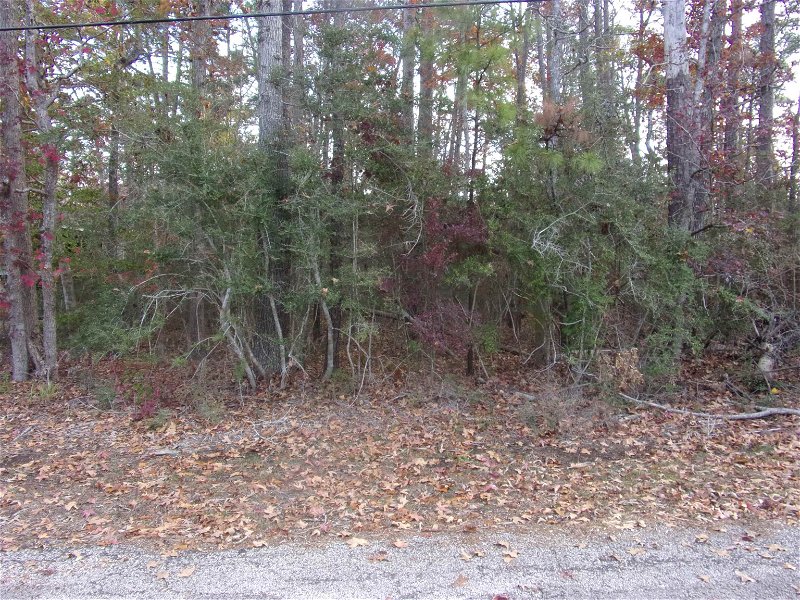Toledo Bend Express Realty in Hemphill, TX (6)