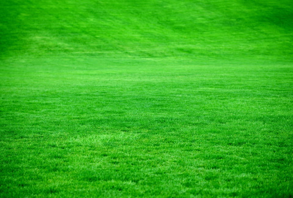 Cal Blend Soils Inc in Irwindale, CA