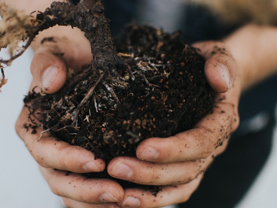 Cal Blend Soils Inc in Irwindale, CA (4)