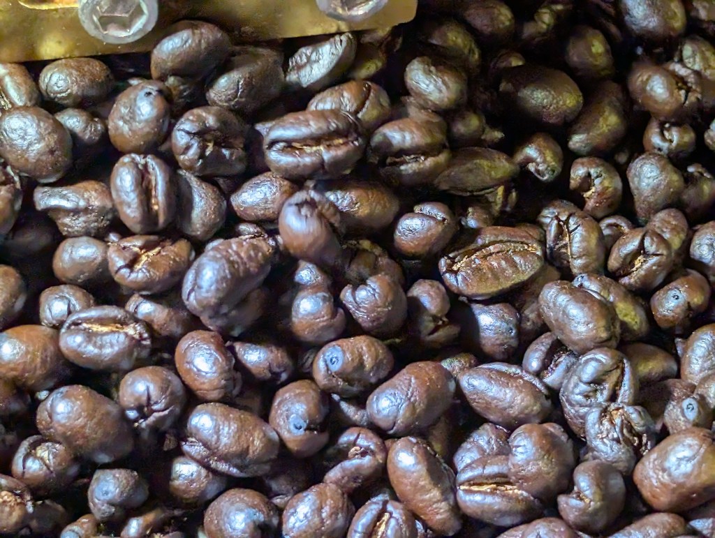 Wild Pines Coffee & Roasters in Redgranite, WI (4)