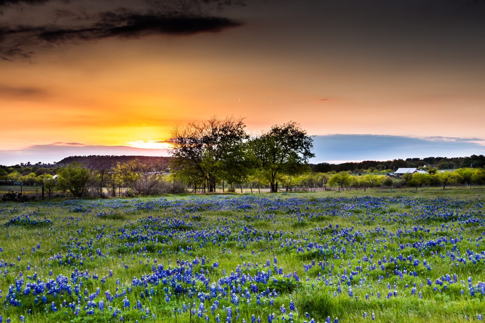 Cross Power Real Estate in Lone Oak, TX (3)