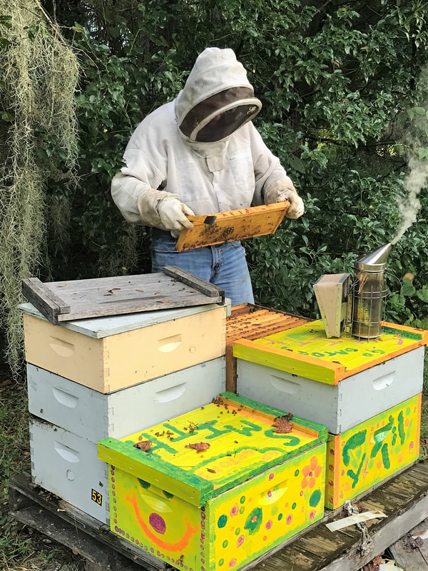 3Beez Honey Farm, Inc. in St Cloud, FL (2)