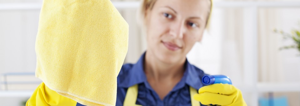 Executive Touch Cleaning Service, LLC in McKinney, TX (6)