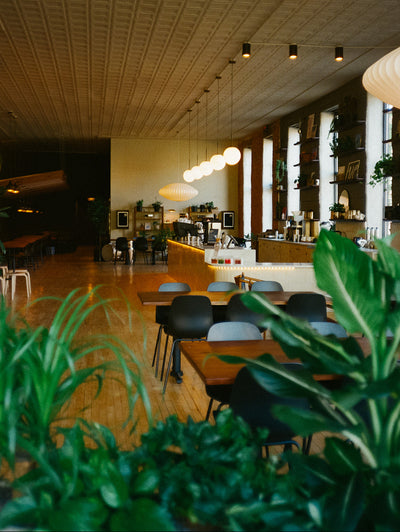 Vinyl Coffee in Washington Court House, OH (4)