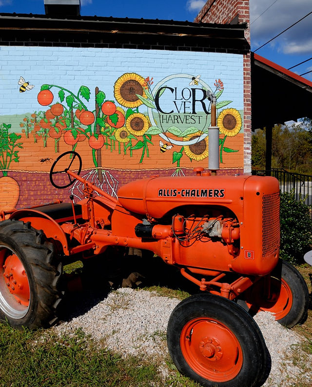Clover Harvest in Clover, SC (2)