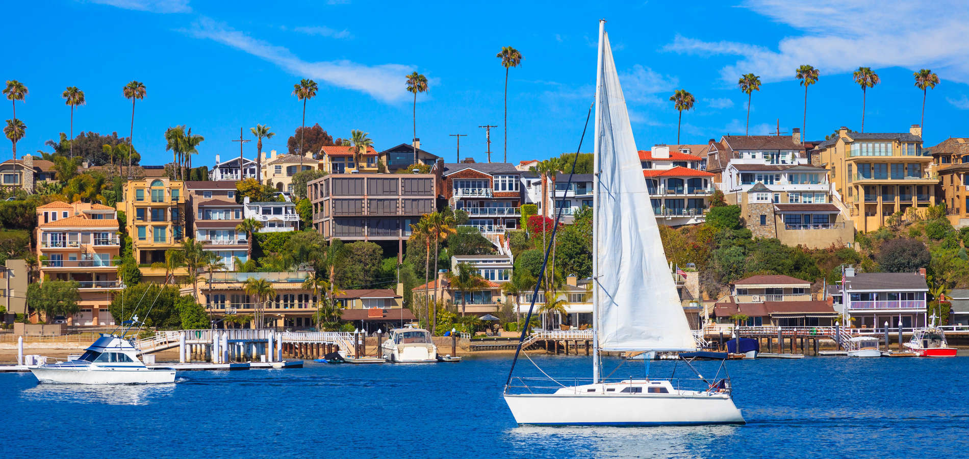 Anvil Real Estate in Laguna Hills, CA (2)