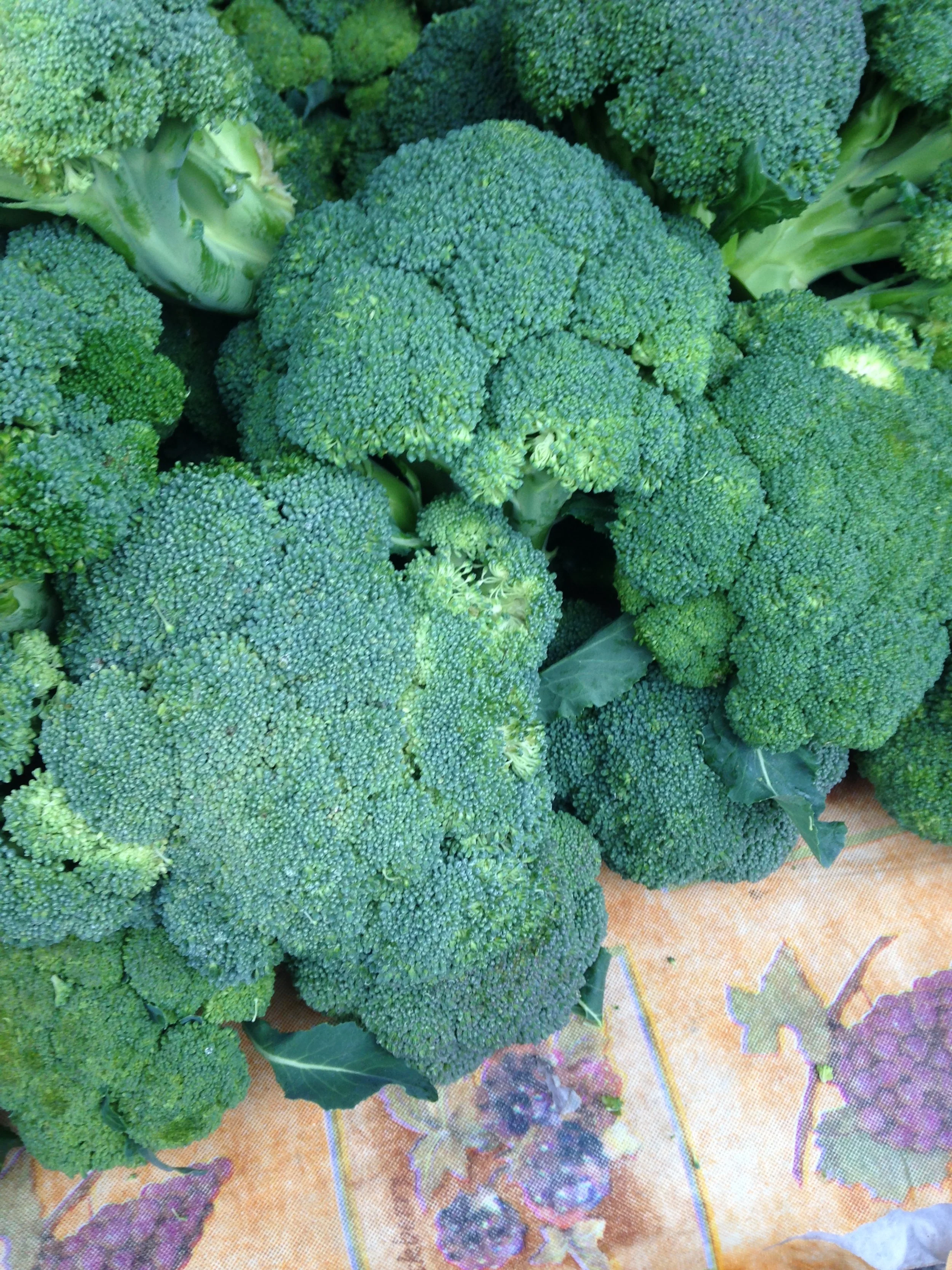 Saratoga Farmers' Market at West Valley College in Saratoga, CA (2)