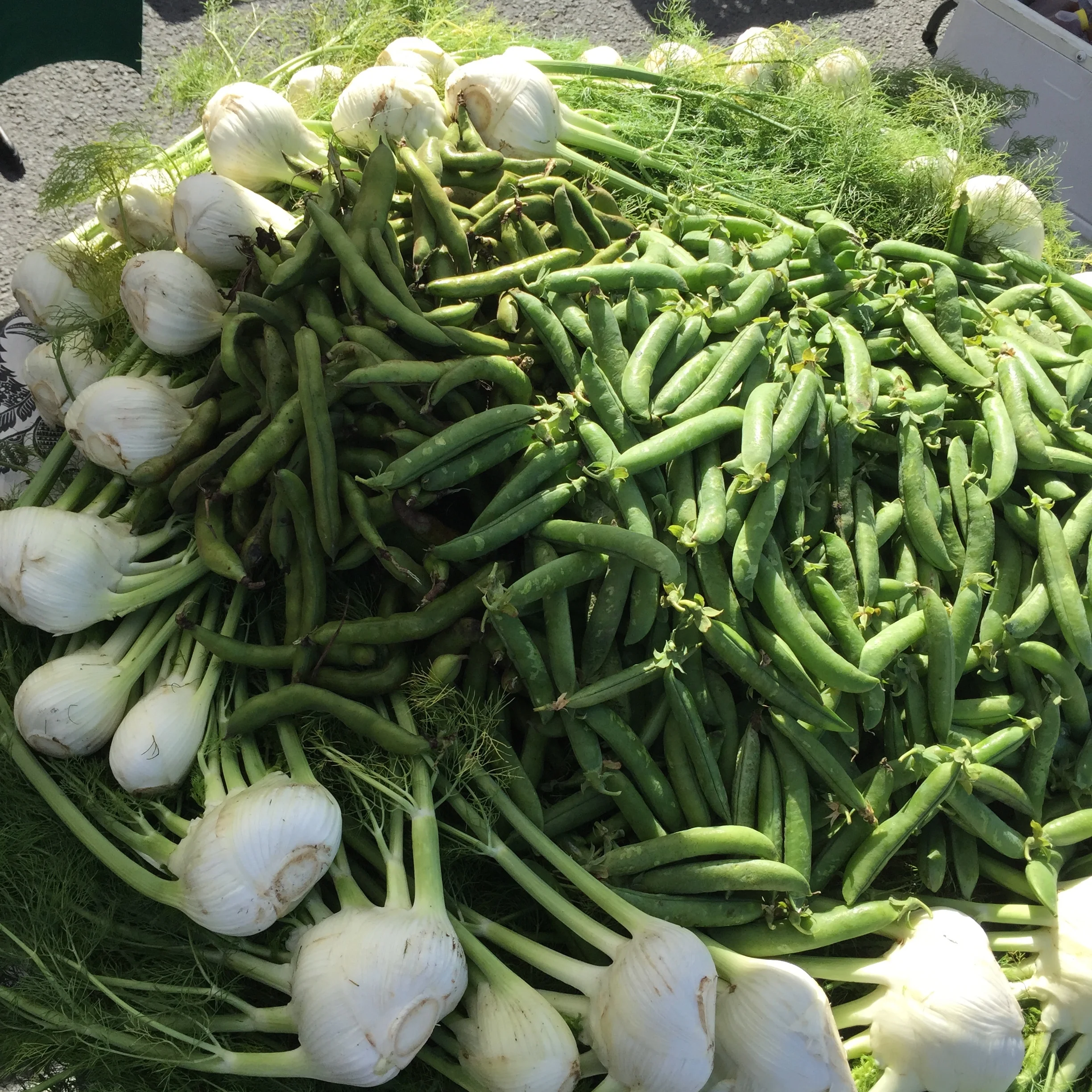 Saratoga Farmers' Market at West Valley College in Saratoga, CA (5)