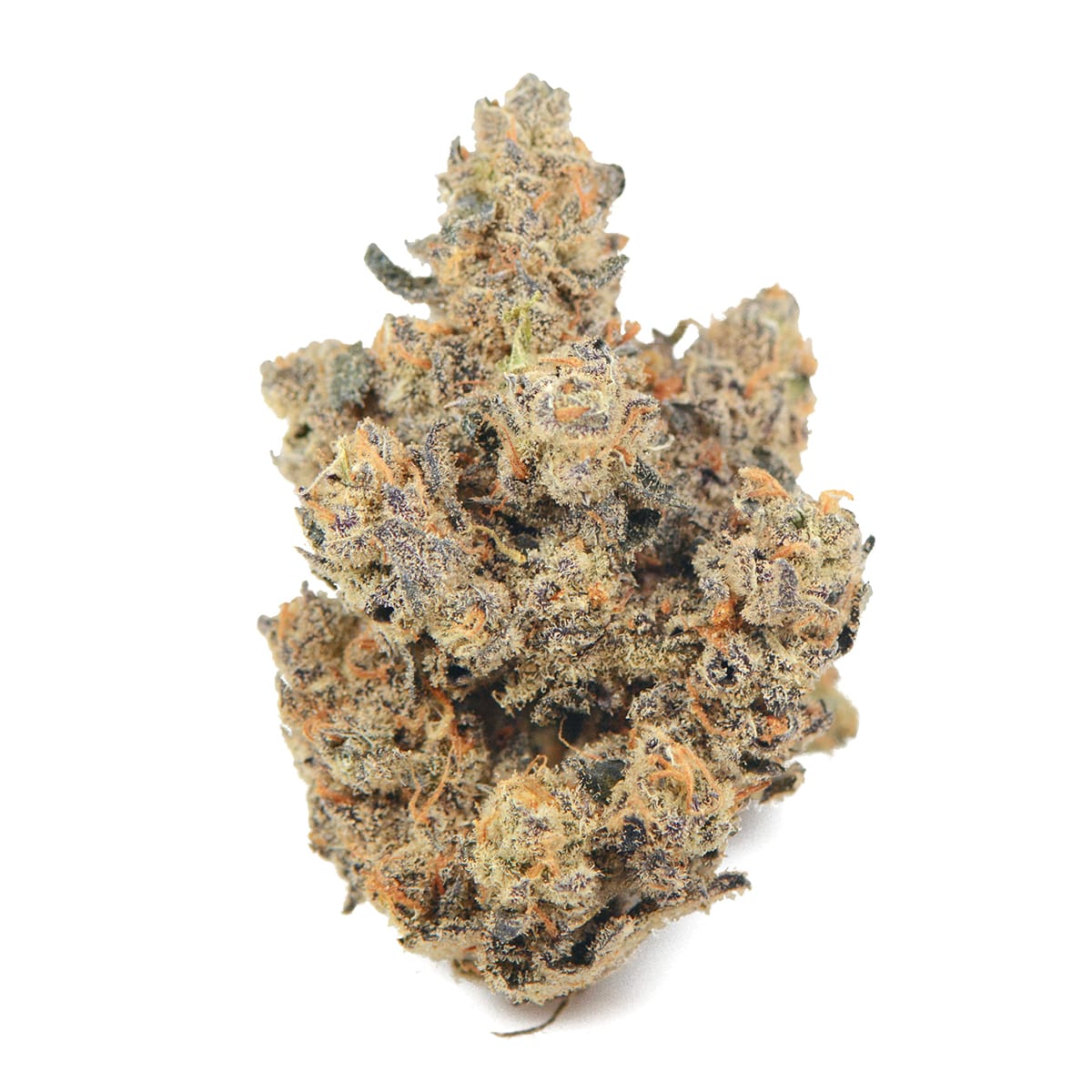 Marvin's Mary J in Needles, CA (2)