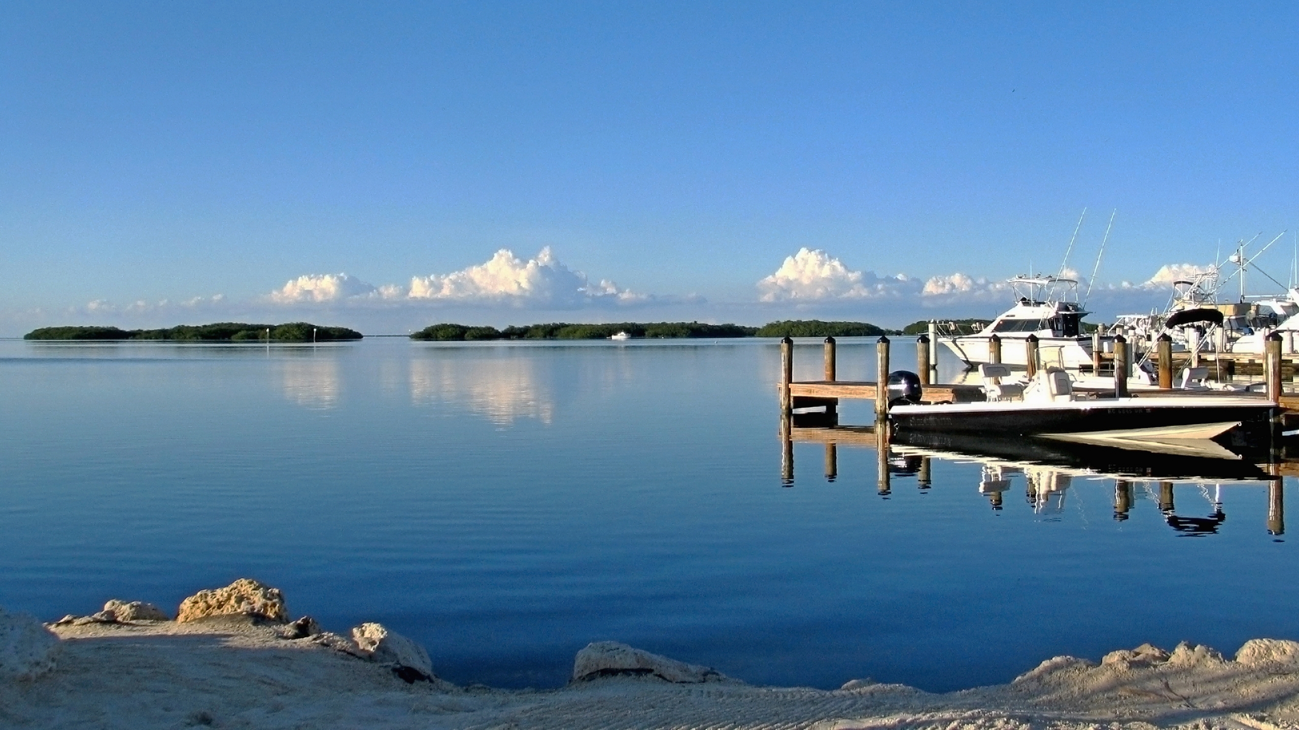 Vanessa J Chamizo, Realtor @ Coldwell Banker Schmitt in Tavernier, FL (3)