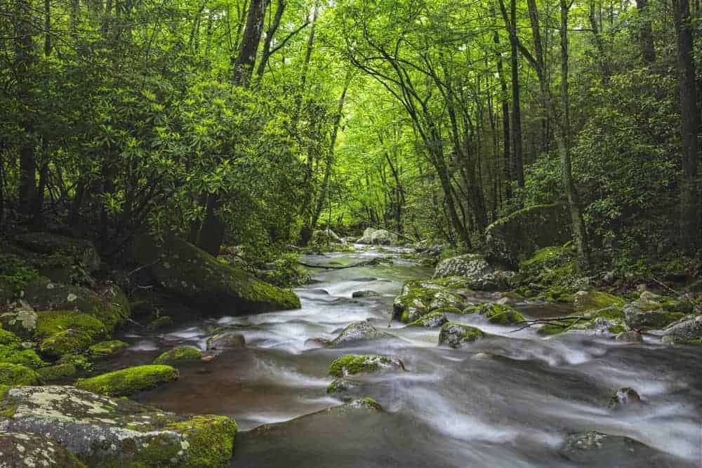 Jason Land - REALTOR® in Fletcher, NC (4)