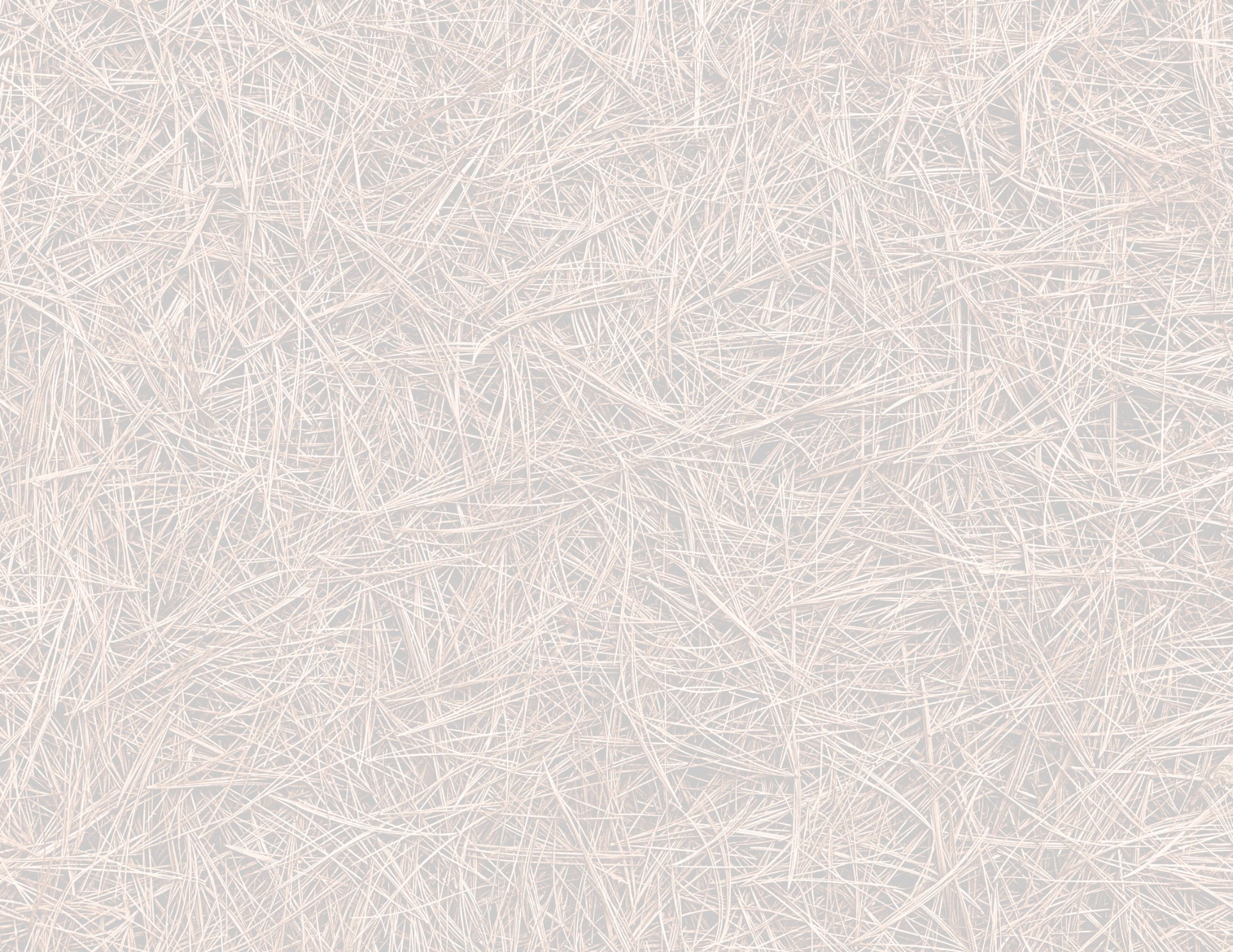 Brown & Company Land Brokers in Winnsboro, SC
