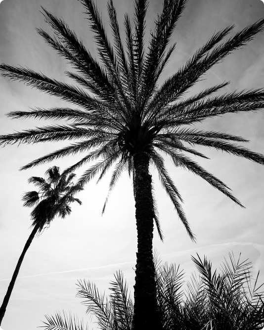 BD Law - Brandon Dinetz, Esq. in West Palm Beach, FL (2)