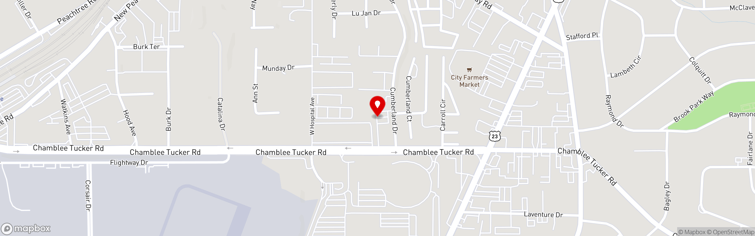 Mamak Vegan Kitchen in Chamblee, GA (2)
