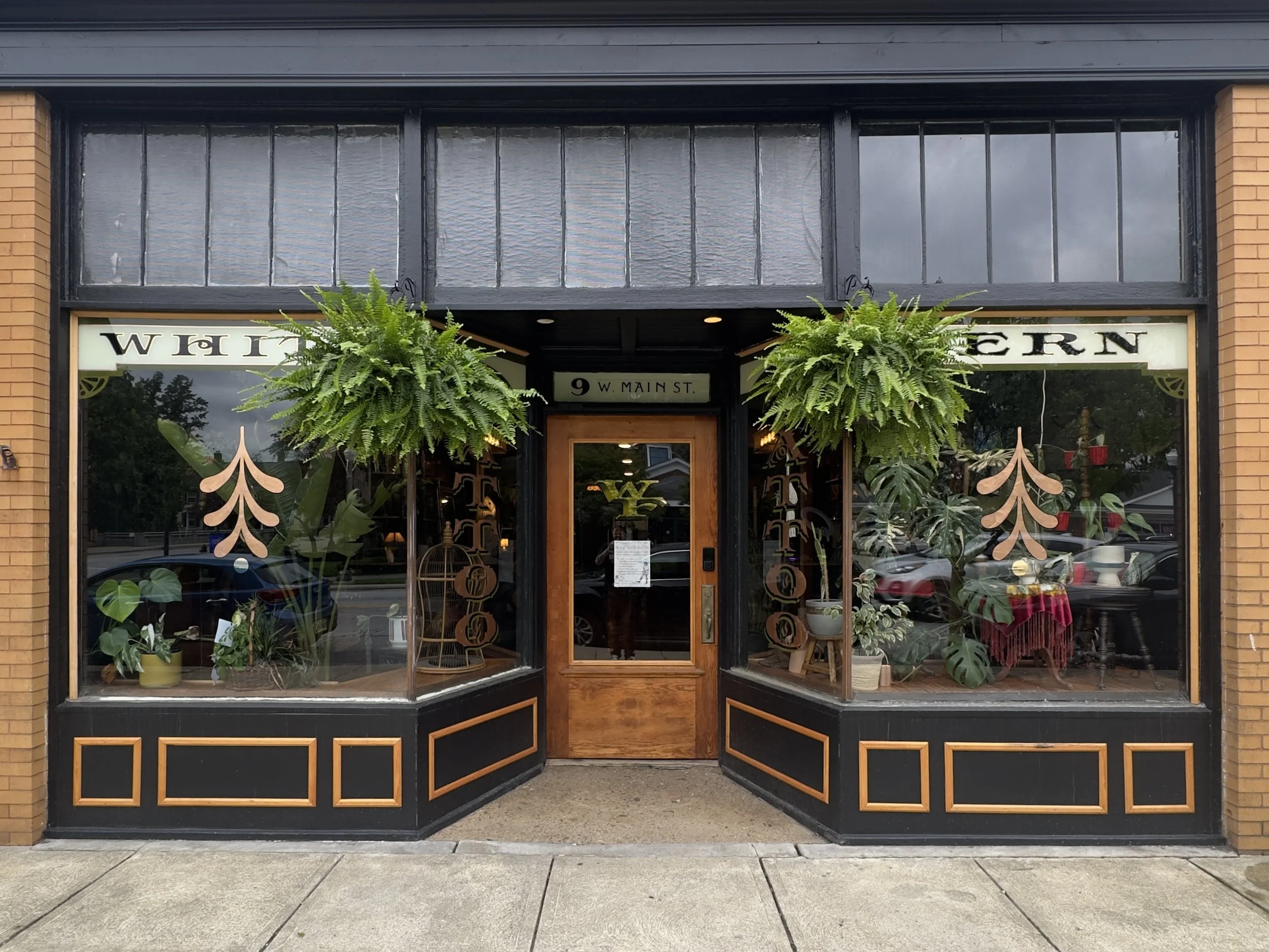 White Fern Tattoo Company in Seville, OH