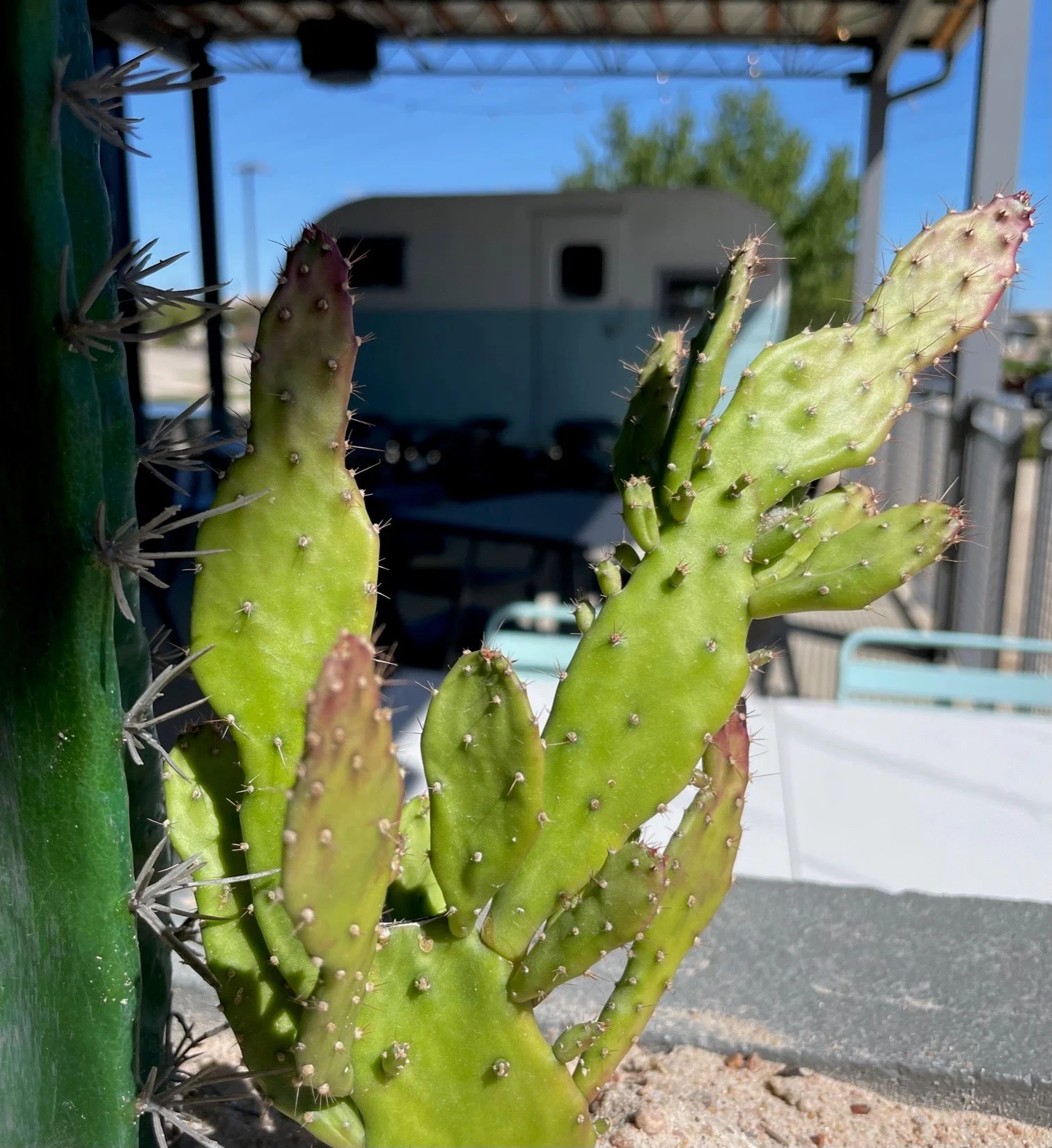 Marfa Texas Kitchen in College Station, TX (2)