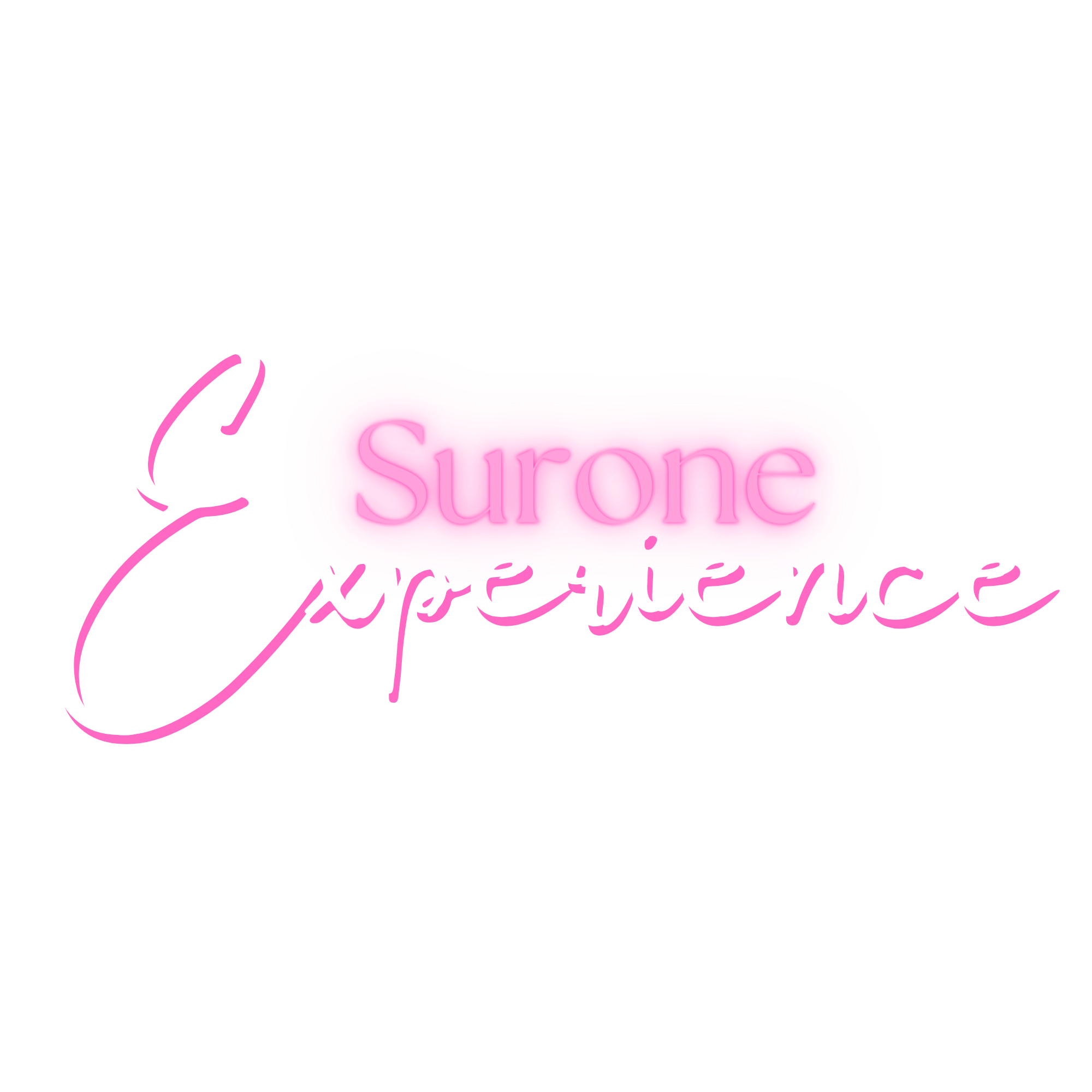 The Surone Experience in Warren, MI (6)