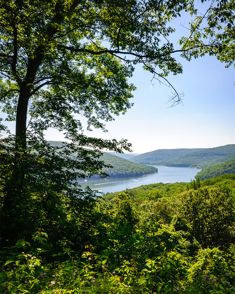 Michael A. Cumerlato Deep Creek Lake Realtor in Rawlings, MD (3)