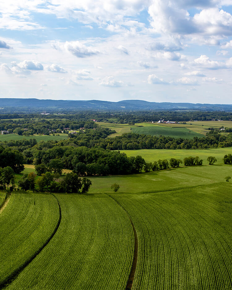 Michael A. Cumerlato Deep Creek Lake Realtor in Rawlings, MD (5)