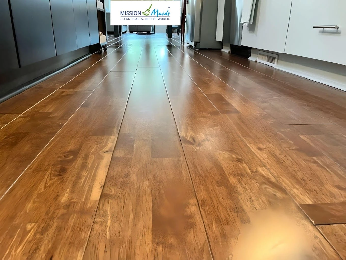 Mission Maids in Raleigh, NC (3)