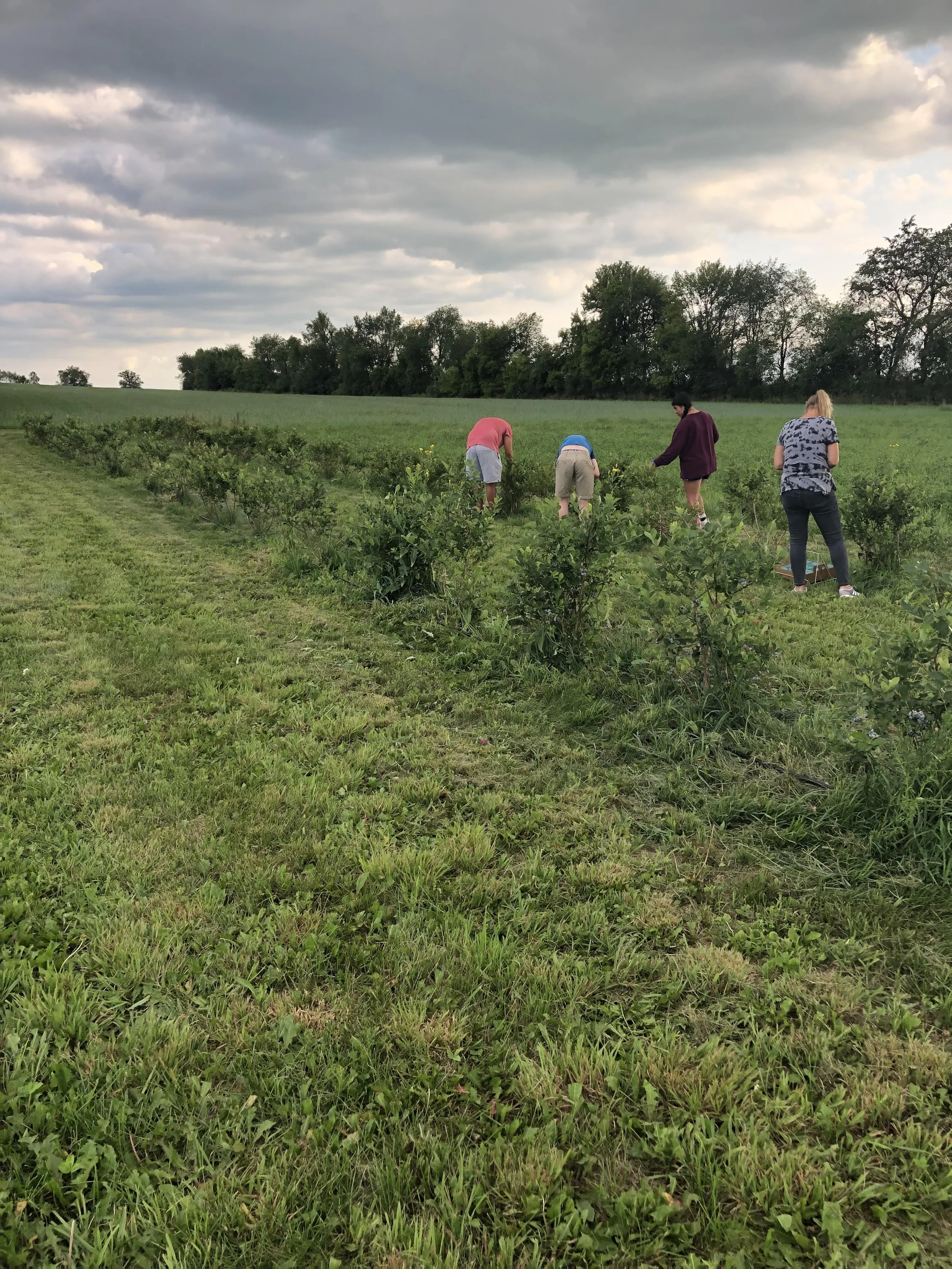 Wunberg Produce in Sharon, WI (3)