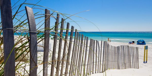 Blue Swell Rentals and Real Estate in Panama City Beach, FL (3)