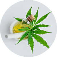 MCA Accounting Solutions / MyCannabisAccountant in Buford, GA (5)