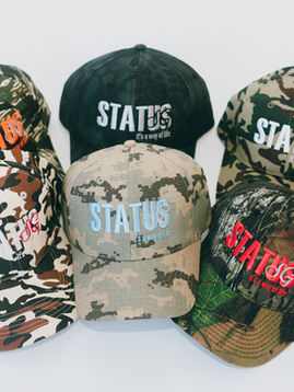 Status Apparel DC in Augusta Springs, VA (3)