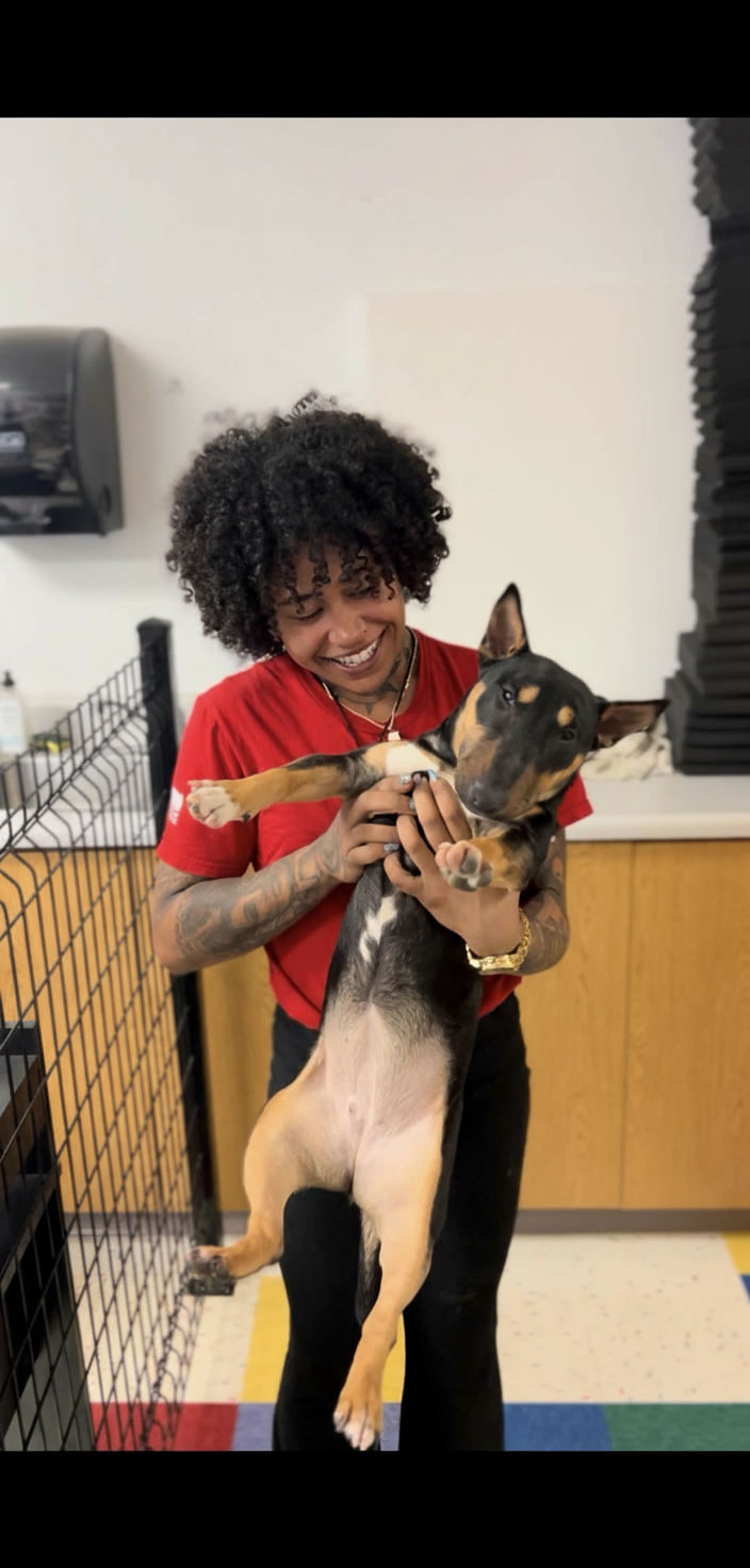 Next Level Pups Pet Training in Wrightsville, GA (4)