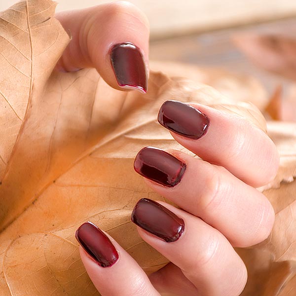 La Neve Nails in Sarasota, FL (6)