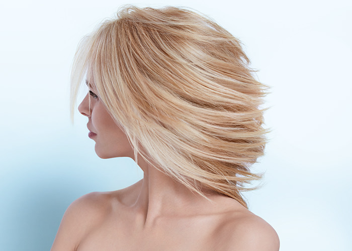 Paparazzi Hair Salon in Clemmons, NC (4)