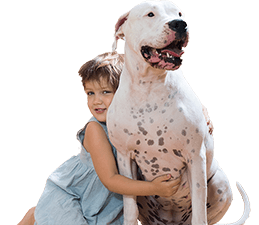 Jamie Anderson Lawyer in Fairborn, OH (3)