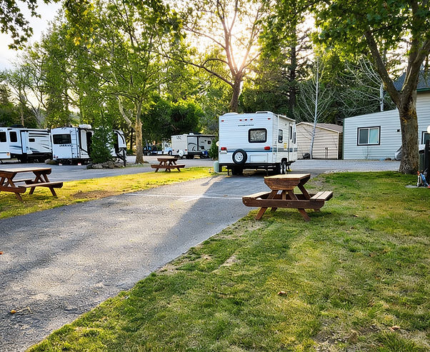 Friendly RV Park in Weed, CA
