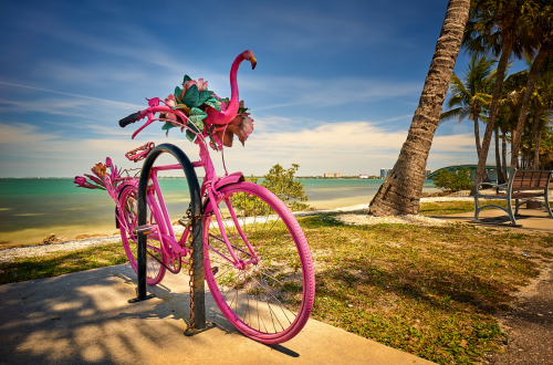 Brenda Vendelboe, Realtor in Belleair, FL