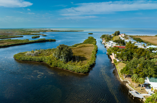 Brenda Vendelboe, Realtor in Belleair, FL (2)
