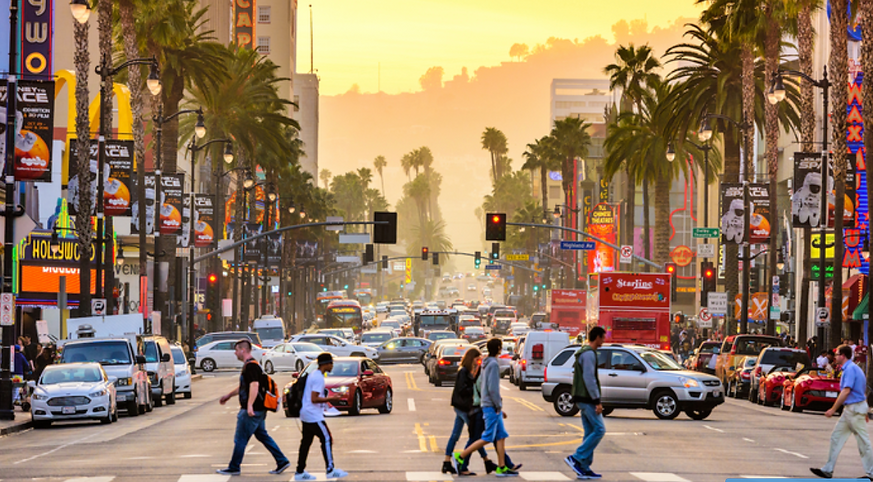 Law Offices Of Arkady A. Tselner in Los Angeles, CA