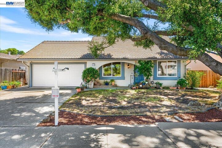 Mitchell Youhanna in Pleasanton, CA (2)