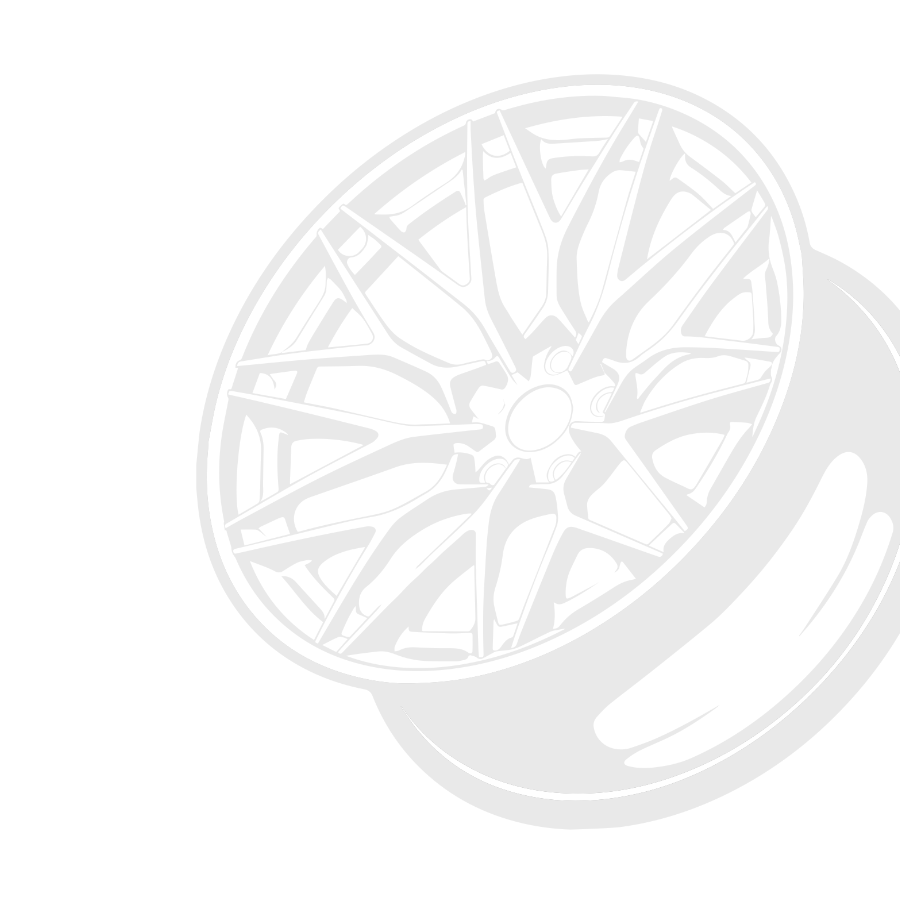 WHEEL WARRIORS in Bronx, NY (2)