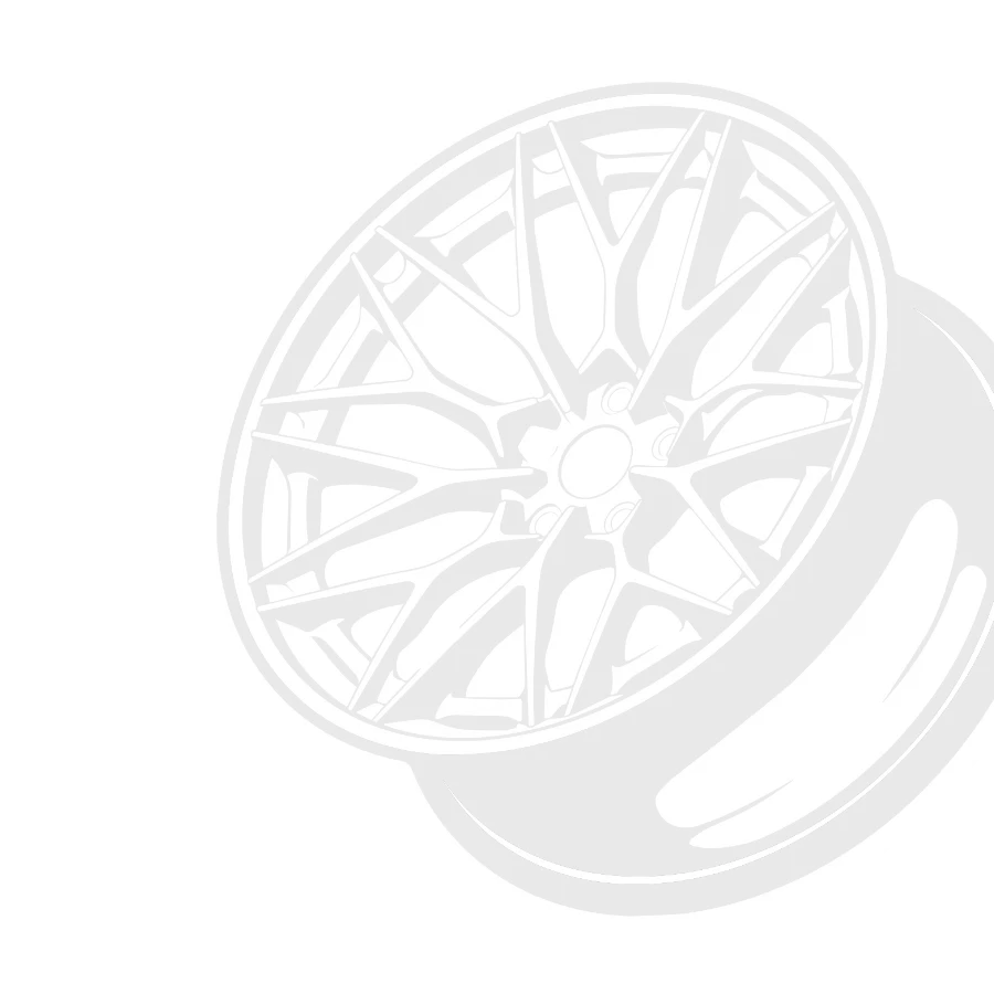 WHEEL WARRIORS in Bronx, NY (3)