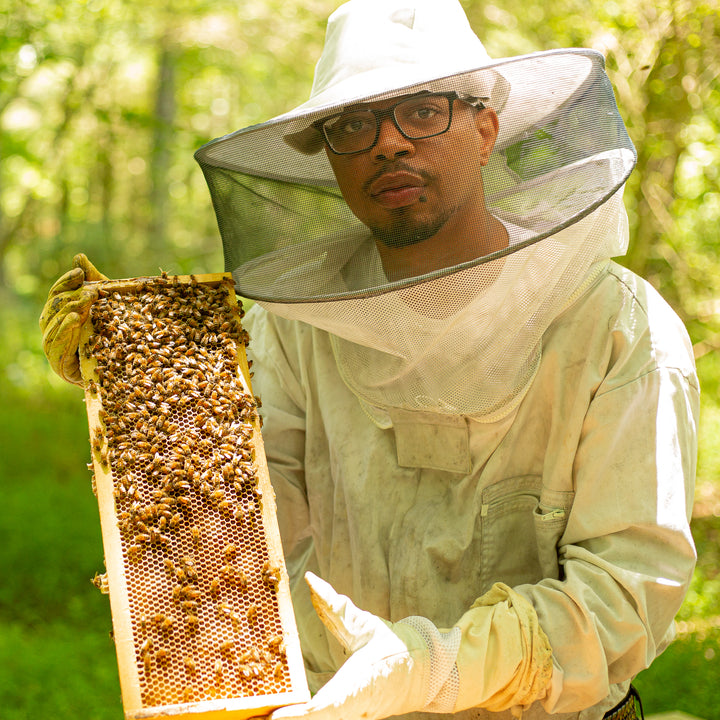 Noble Honey Company in Atlanta, GA (3)