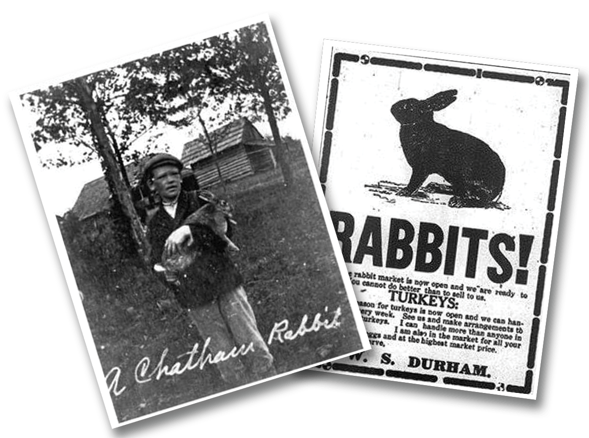 The Chatham Rabbit in Siler City, NC