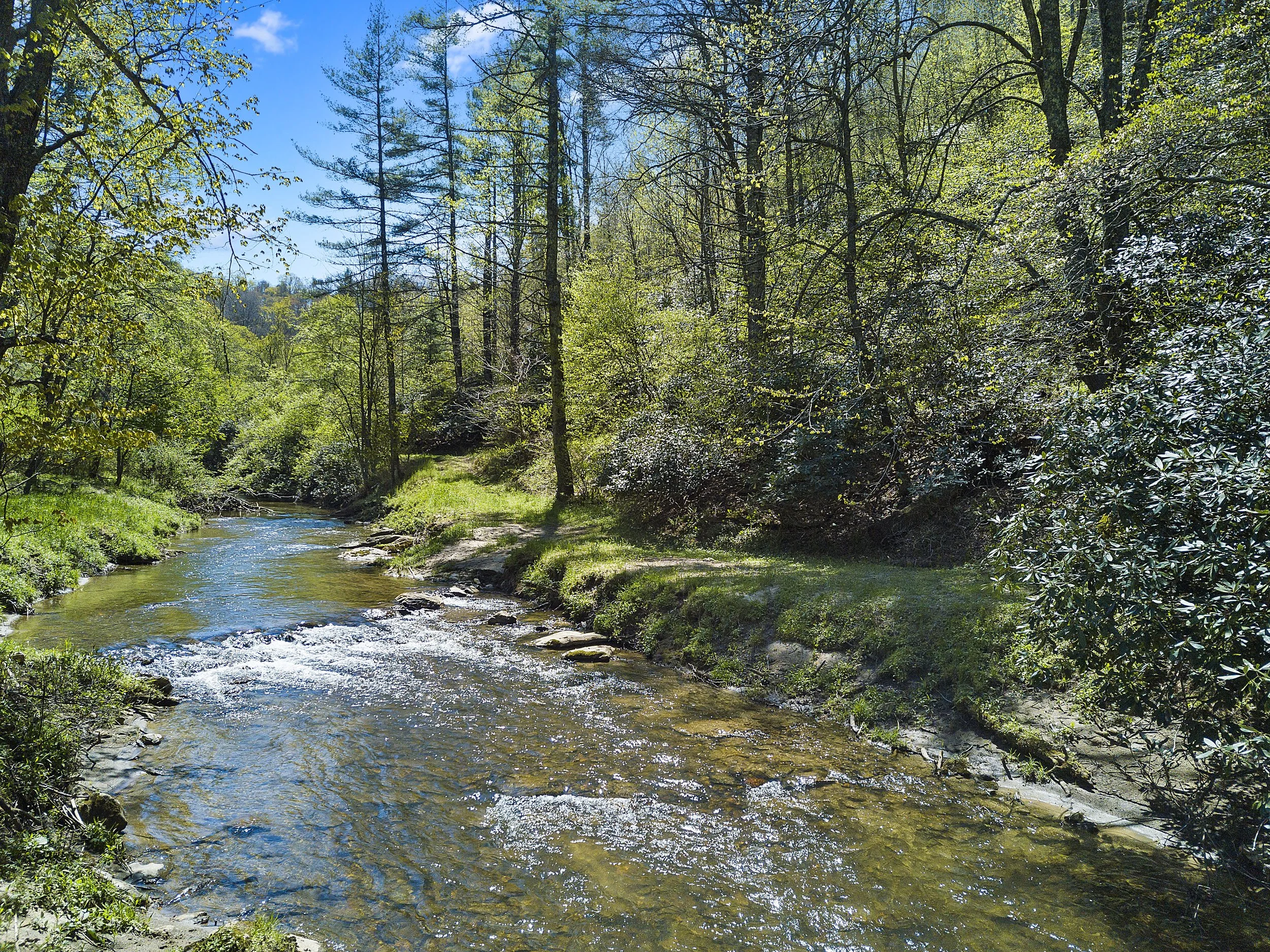 Phillips Real Estate & Auction in Floyd, VA (6)