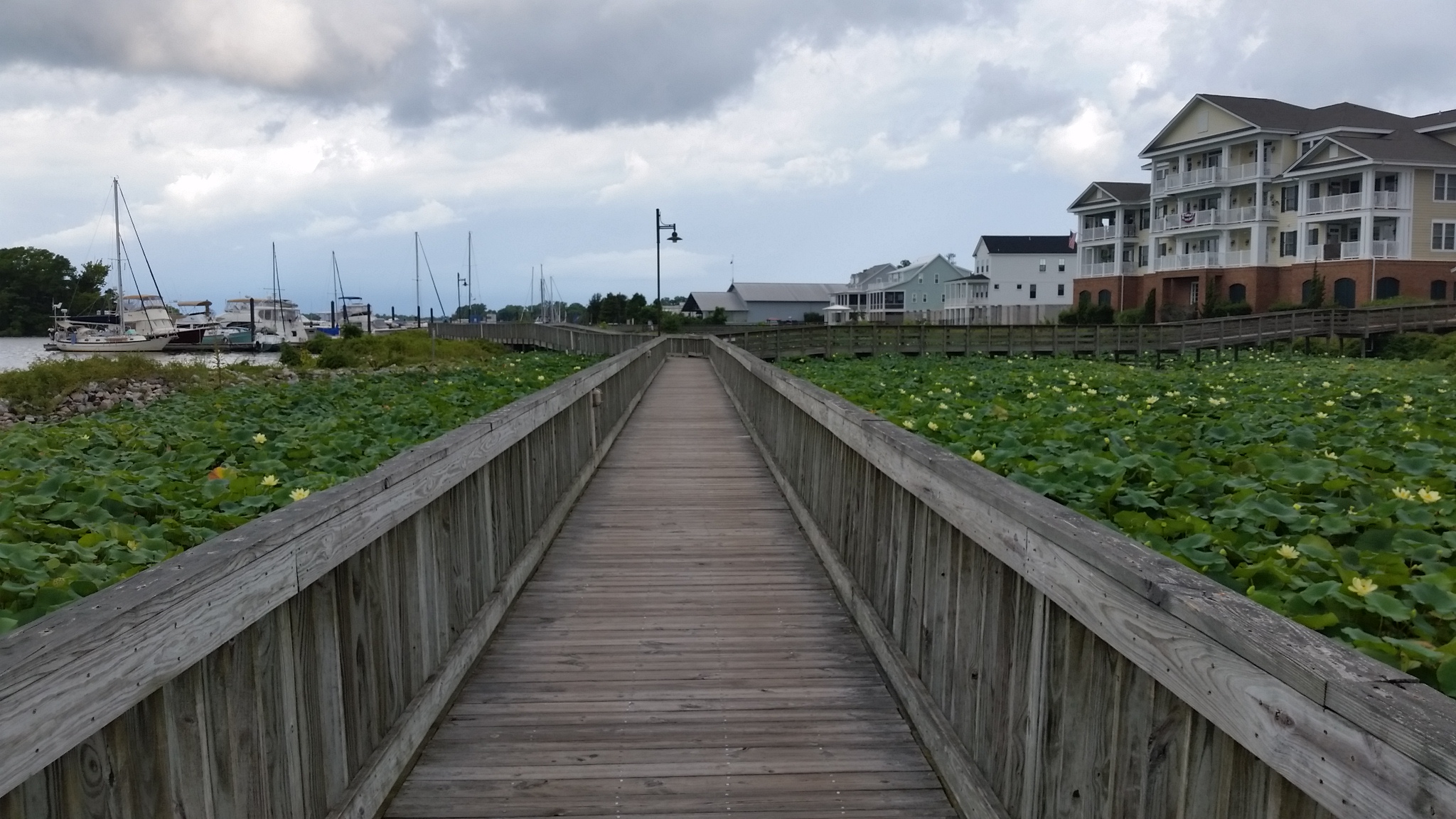 Beth "Black" Byrd- Coldwell Banker Sea Coast Advantage Realty in Washington, NC (4)