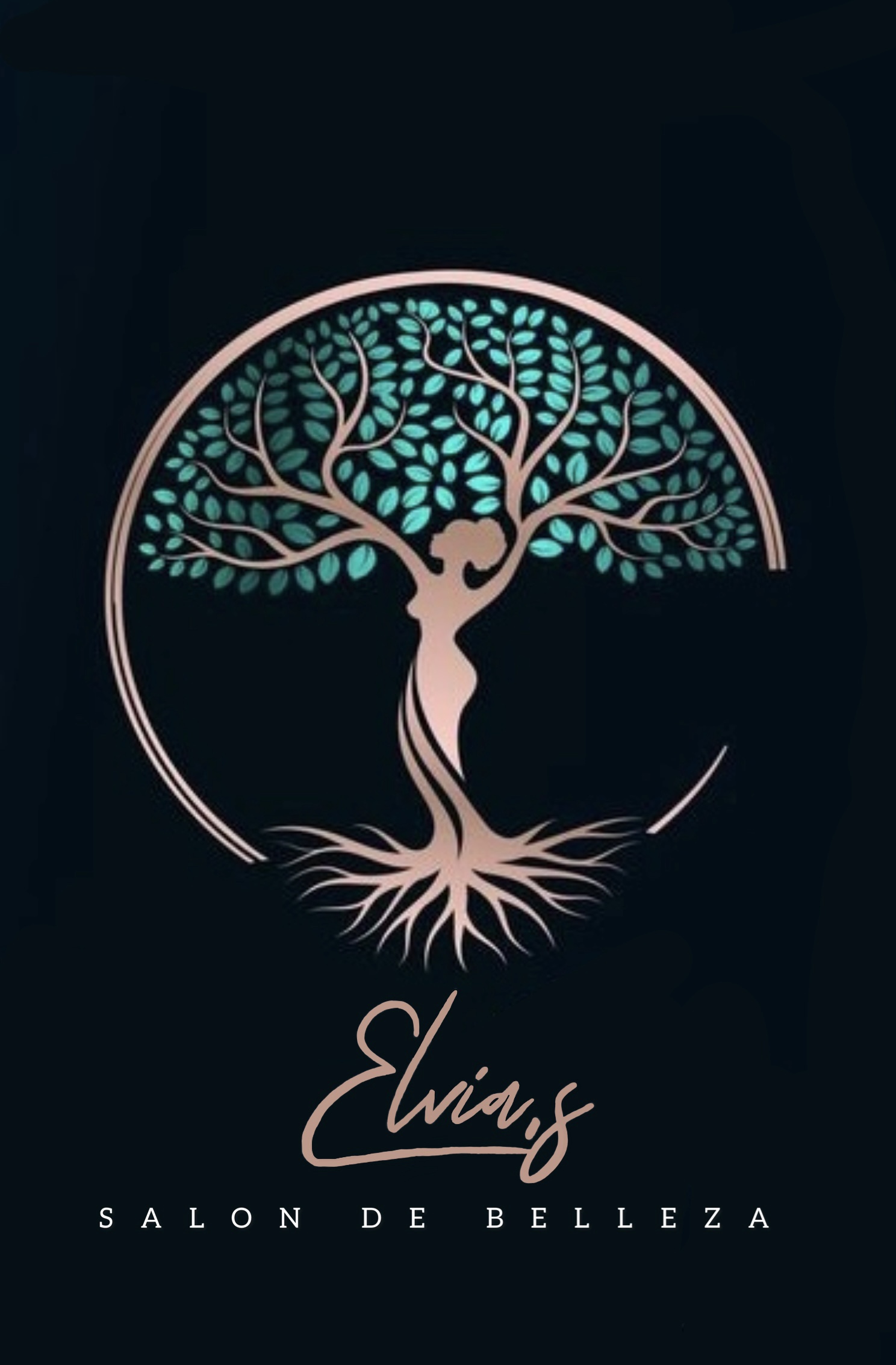 Elvia’s Salon De Belleza in Kenosha, WI