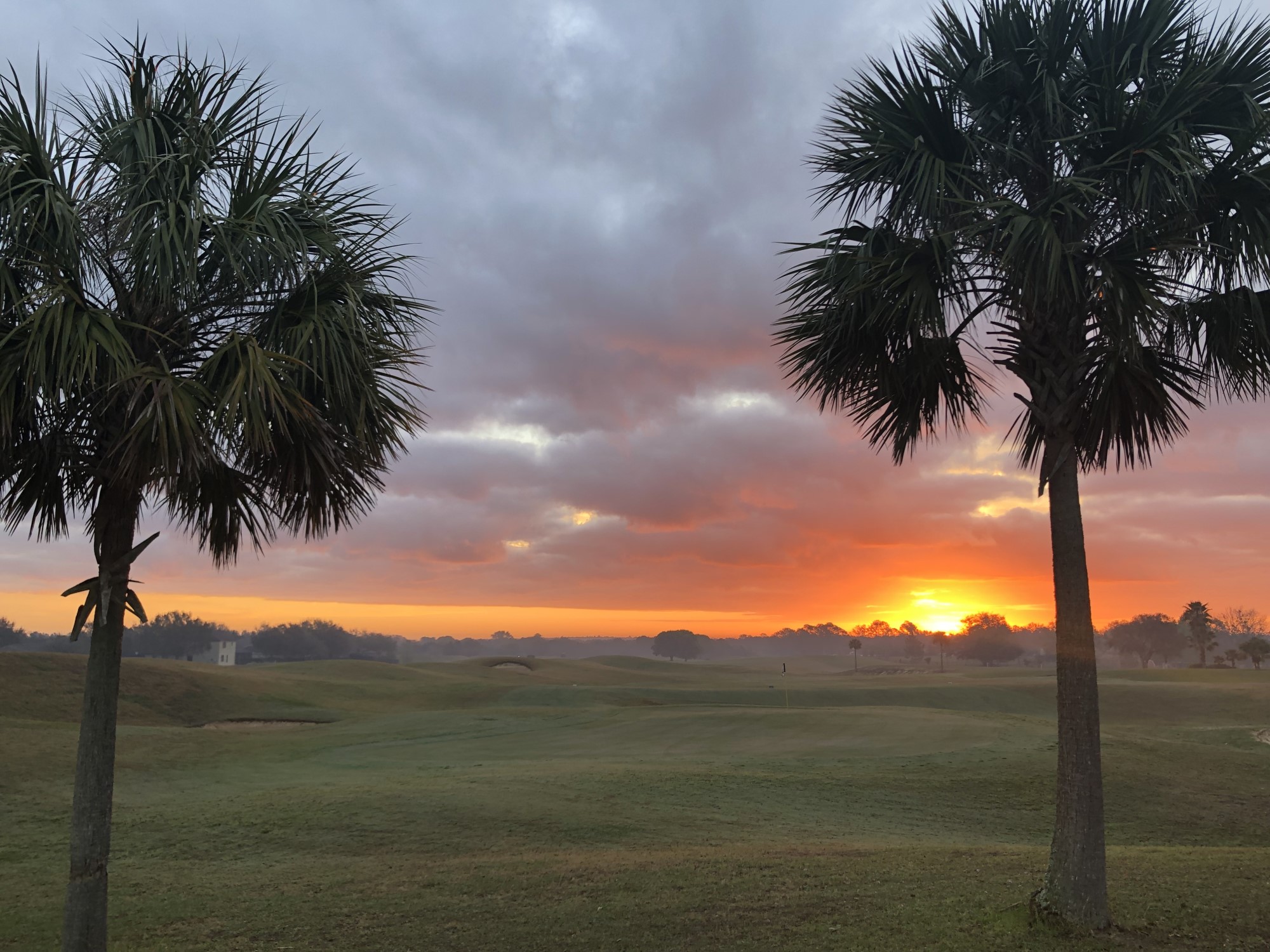 Black Bear Golf Club, TopTracer Range, Restaurant & Ice cream Shop in Eustis, FL (4)