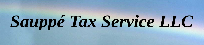 Sauppé Tax Service, LLC in Avon Lake, OH