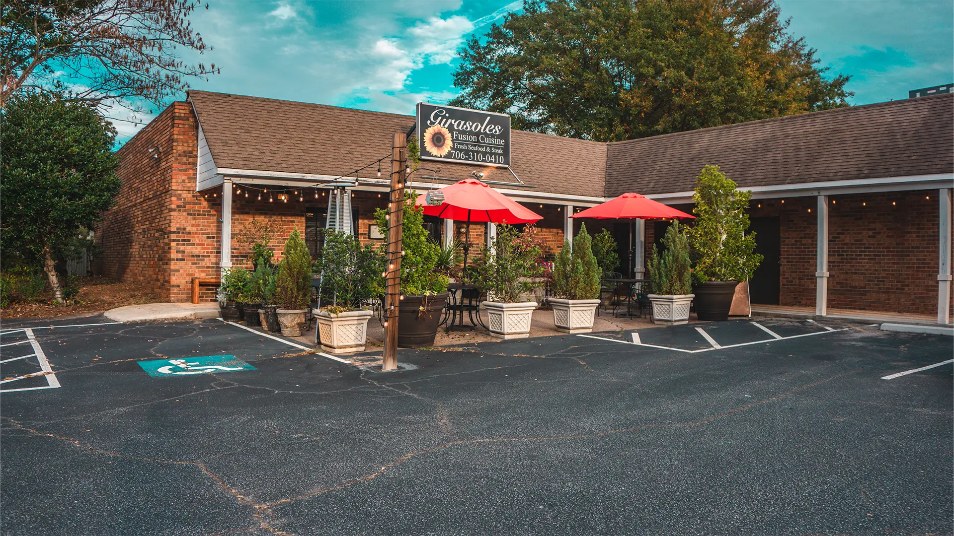 Girasoles in Watkinsville, GA