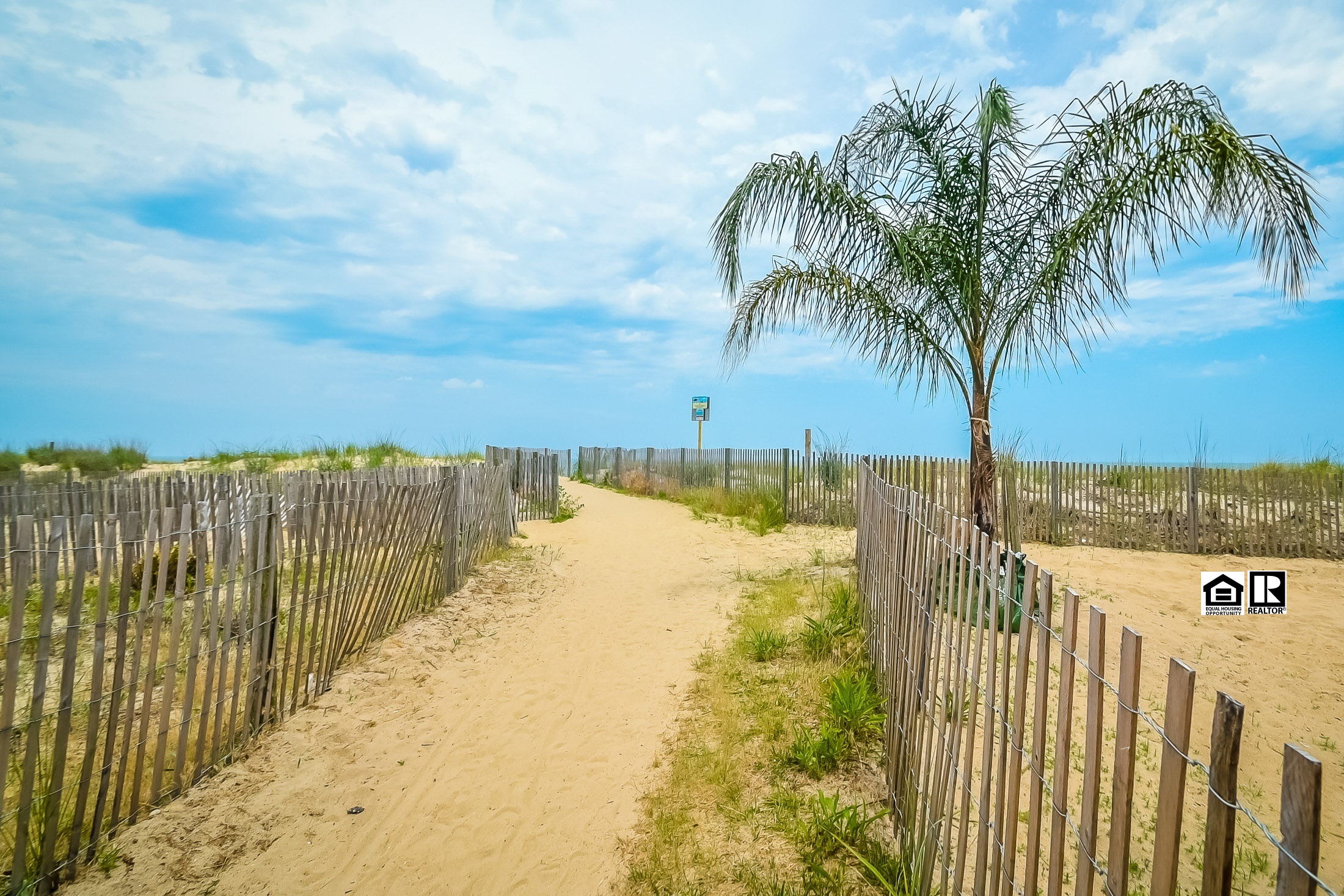 Carol Proctor, Associate Broker | Berkshire Hathaway Home Services PenFed Realty in Ocean City, MD